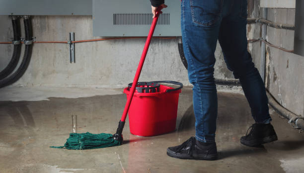 Best Water damage cleanup near me  in Rutgers University Busch Campus, NJ