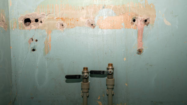Reliable Rutgers University Busch Campus, NJ Water damage restoration Solutions