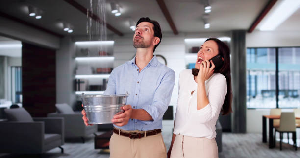 Best Water damage contractors near me  in Rutgers University Busch Campus, NJ