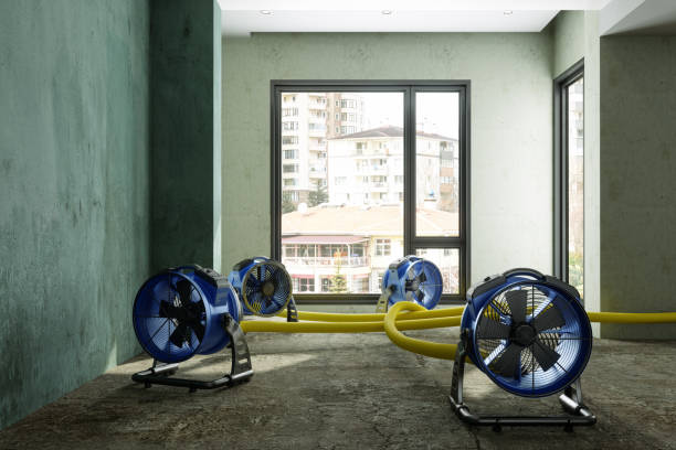 Best Carpet water damage restoration  in Rutgers University Busch Campus, NJ
