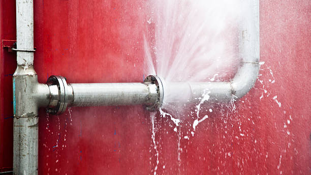 Best Water damage restoration near me  in Rutgers University Busch Campus, NJ